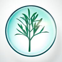 Powercell Night Rescue Crema  50ml-171239 Powercell Night Rescue Crema  50ml-171239 5